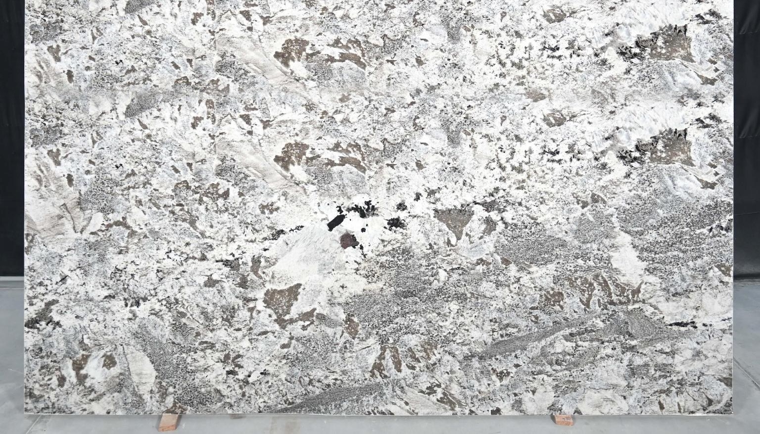 GREY NUEVO — Granite slab