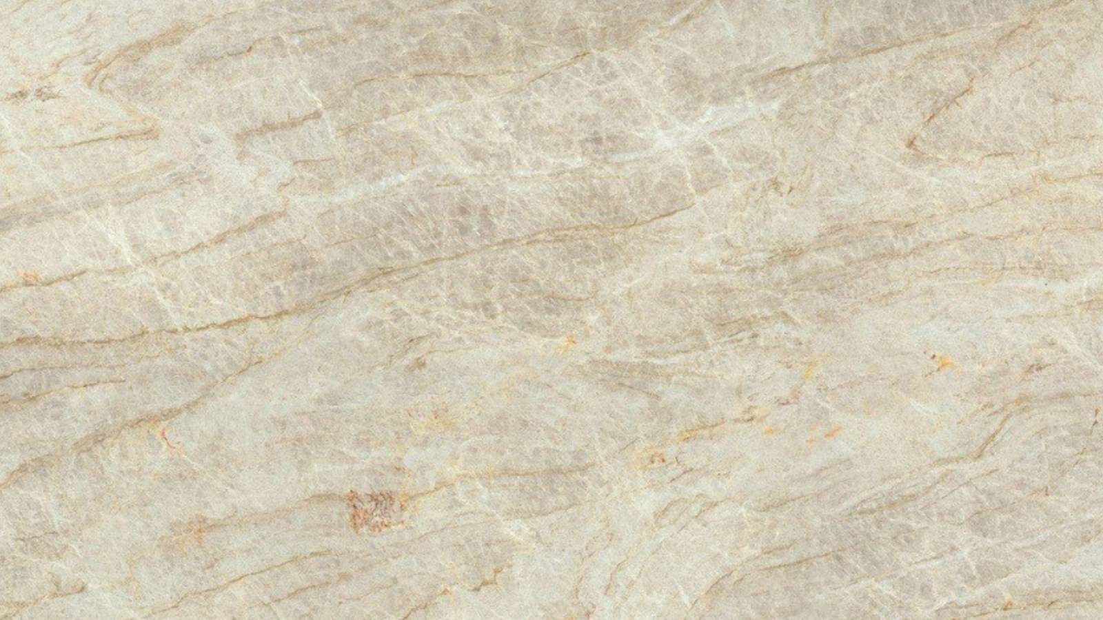 Taj Vein (P01) — Pacific Surfaces Vision
