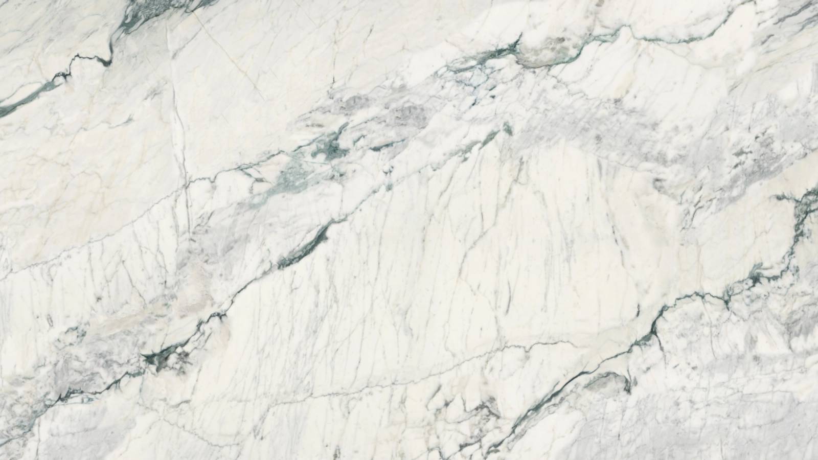 Mossveil (P26) — Pacific Surfaces Vision