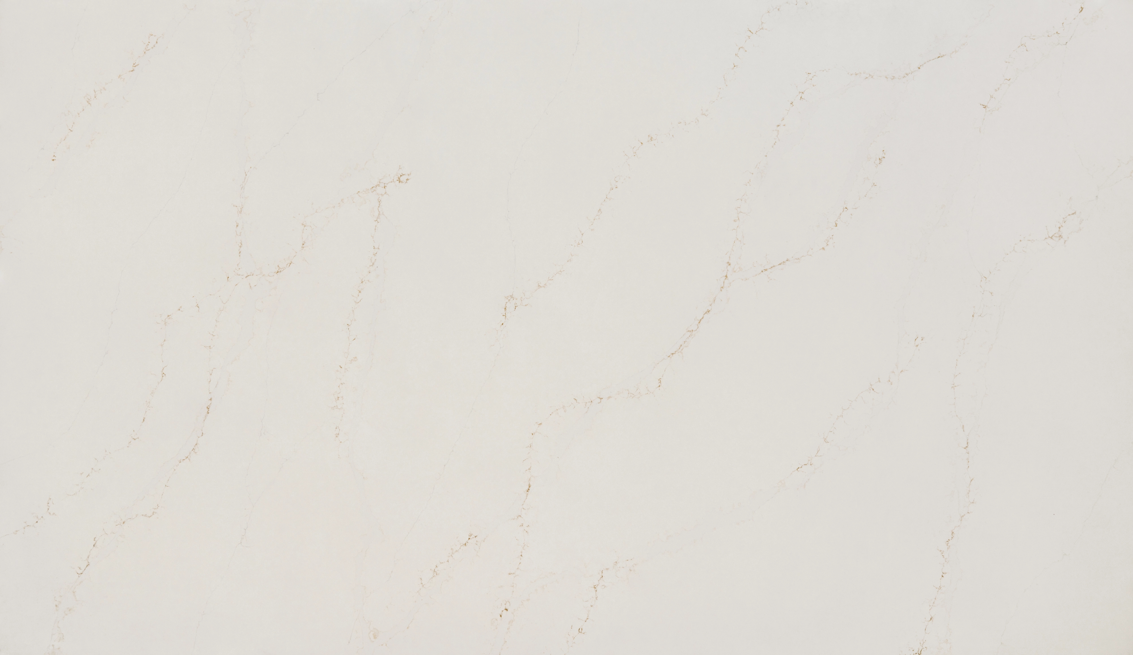 Arya (3008) — Pacific Surfaces Top Collection