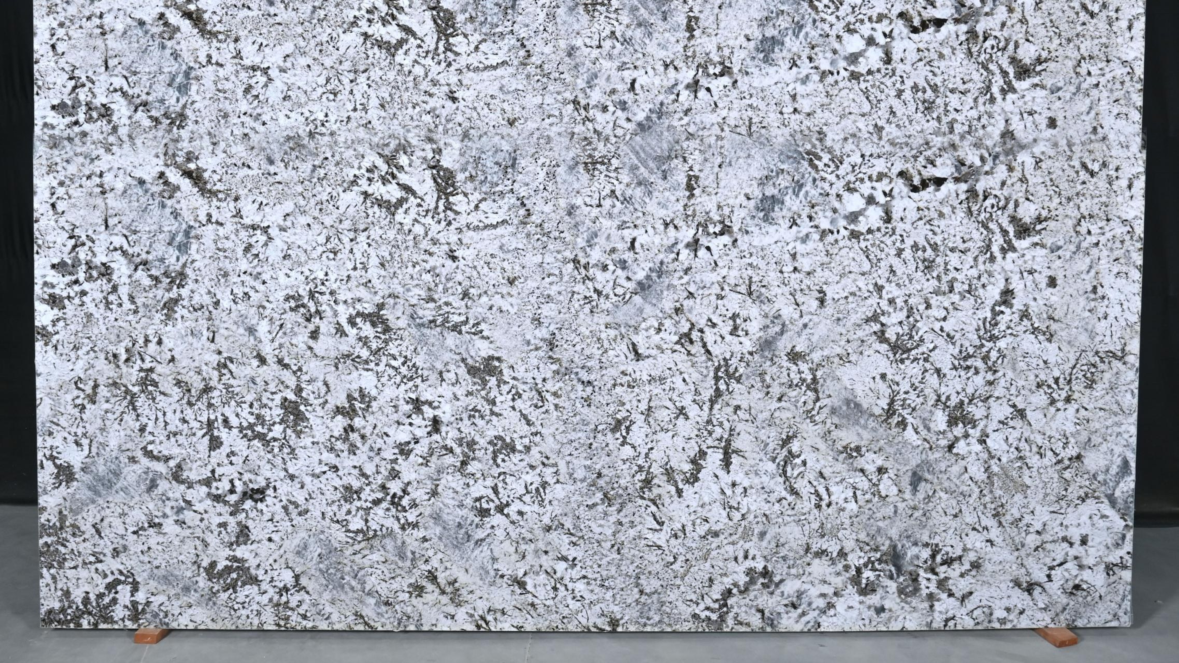 BLUE FLOWER — Granite slab