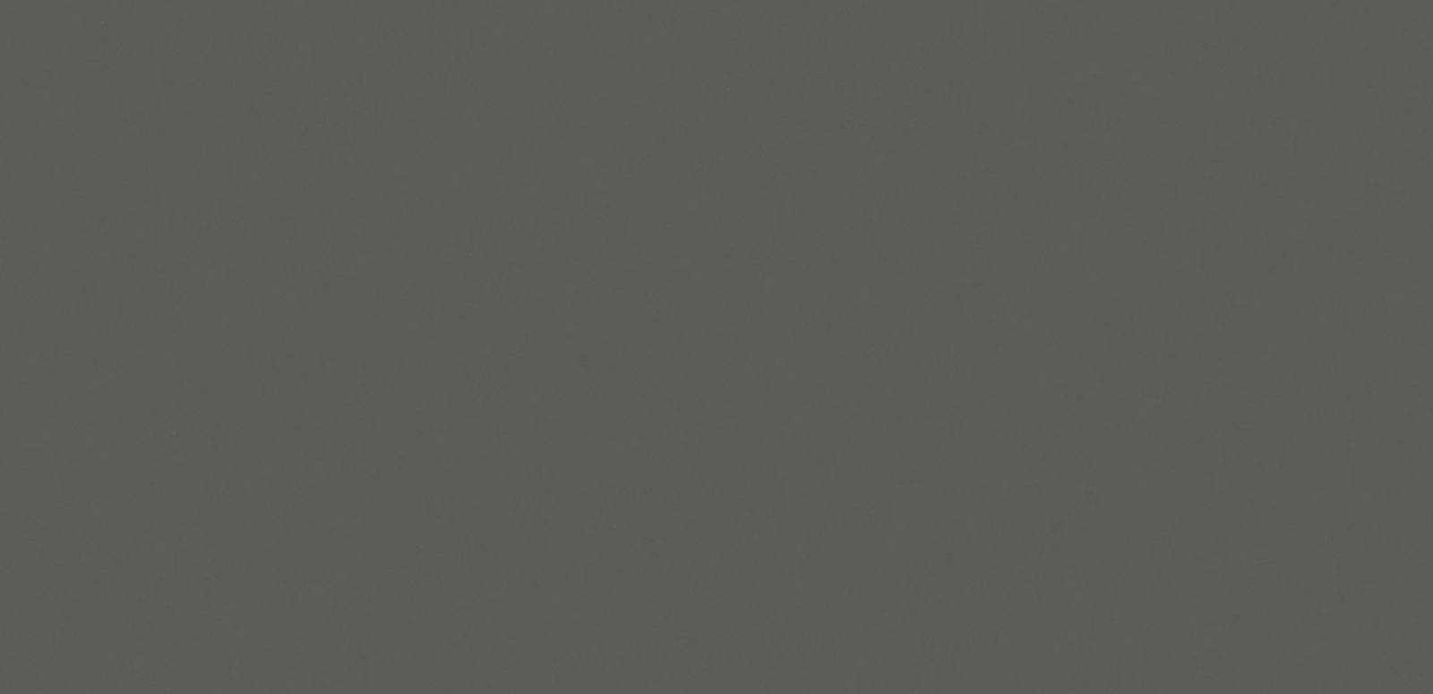 Cemento (1004) — Pacific Surfaces Aurora