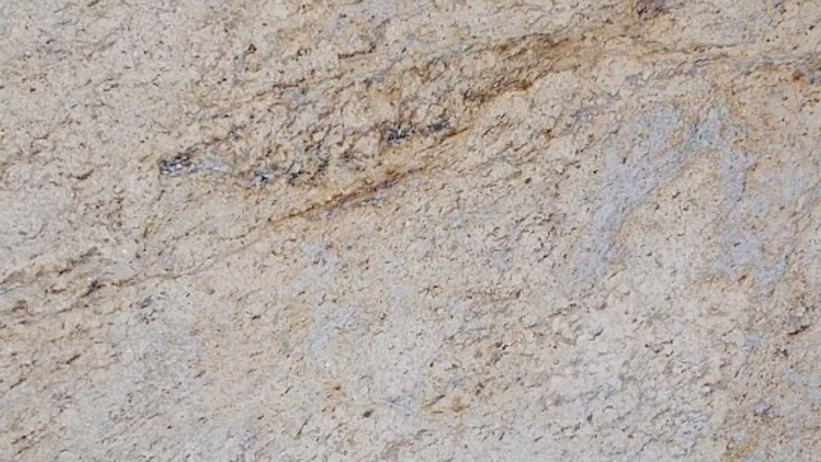 Colonial Gold — Pacific Surfaces Granite