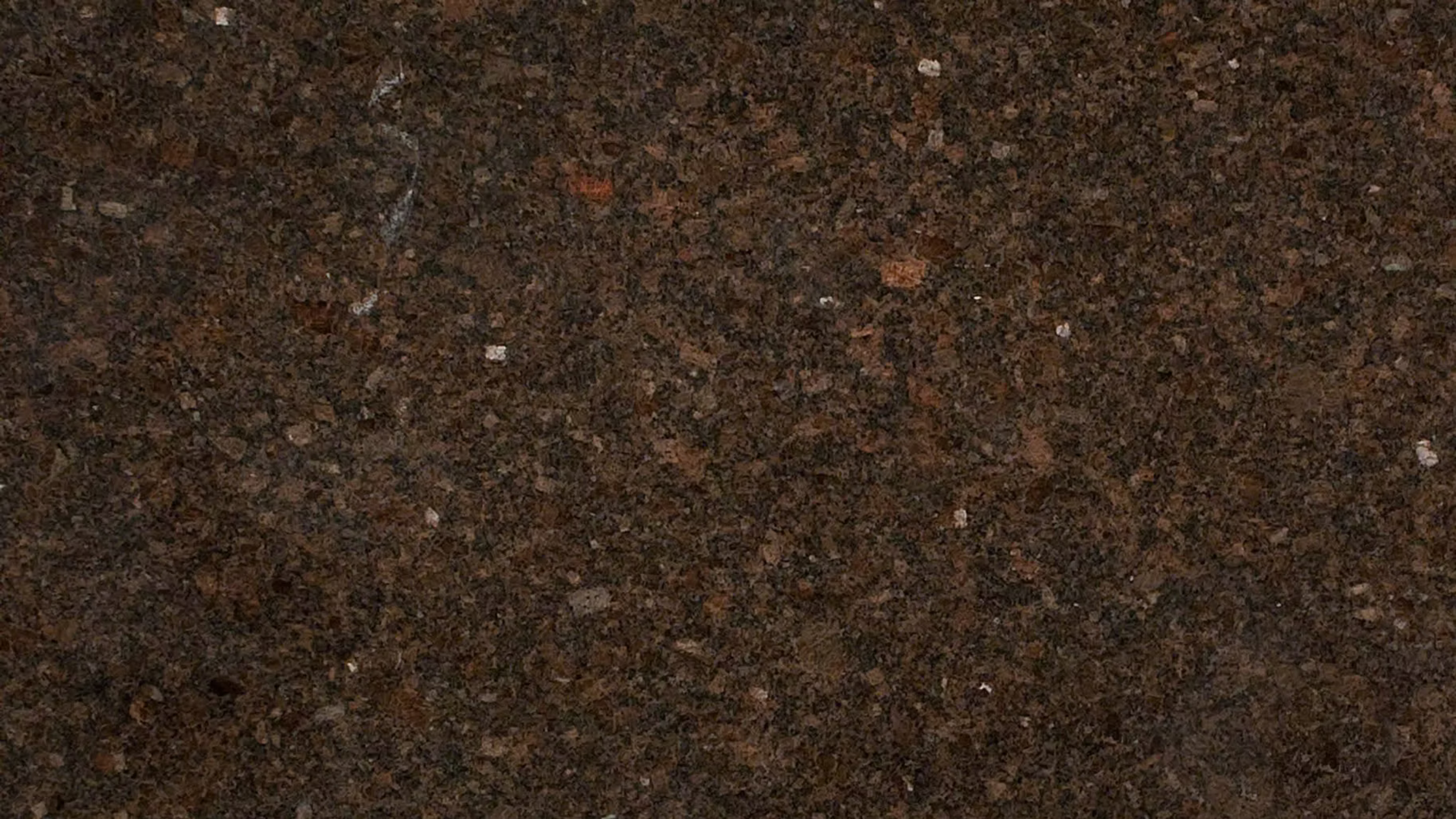 Coffee Brown — Granite slab