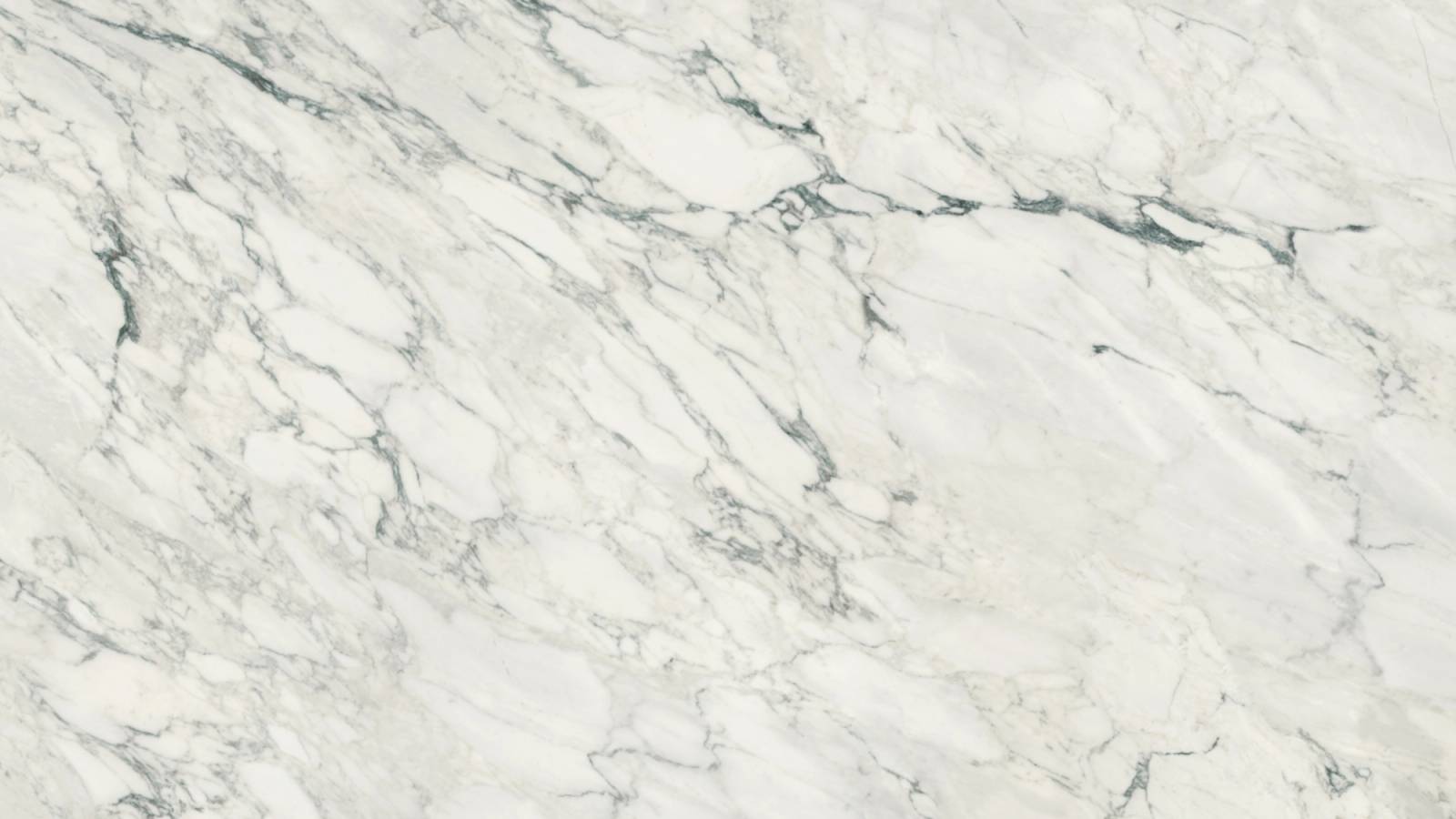 Velluto (P24) — Pacific Surfaces Vision