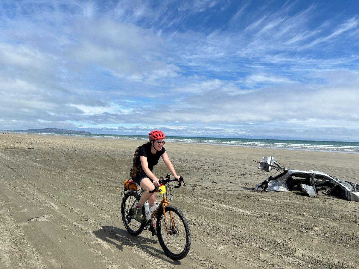 Don't mind the dead cars