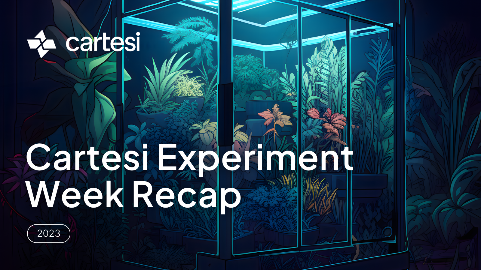 Cartesi Experiment Week Recap