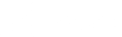 Professor