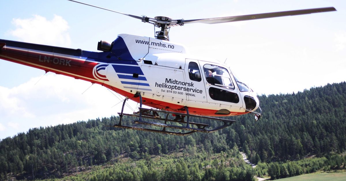 Synfaring med helikopter i veke 10-11 (Linja)