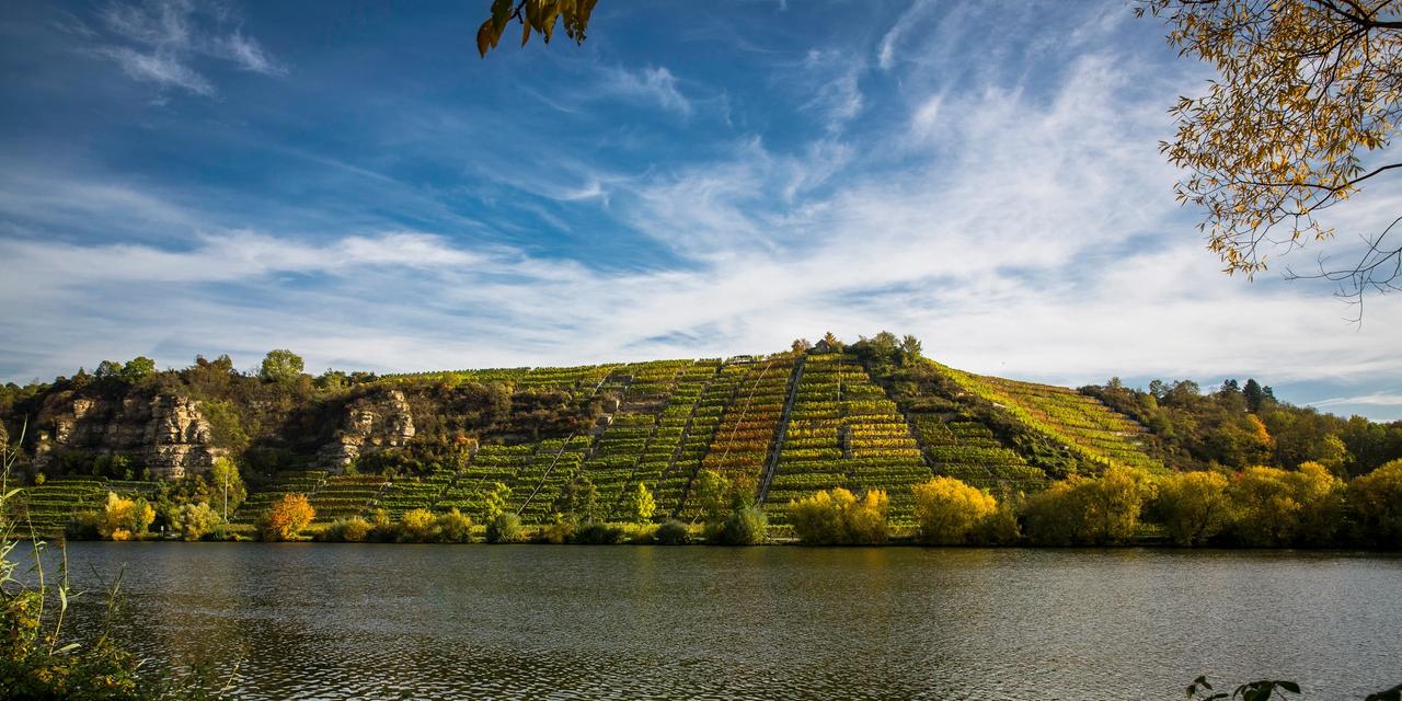 Lauffener Weingärtner eG