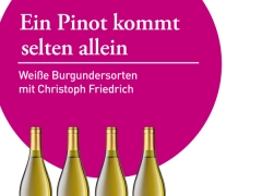 Ein Pinot kommt selten allein