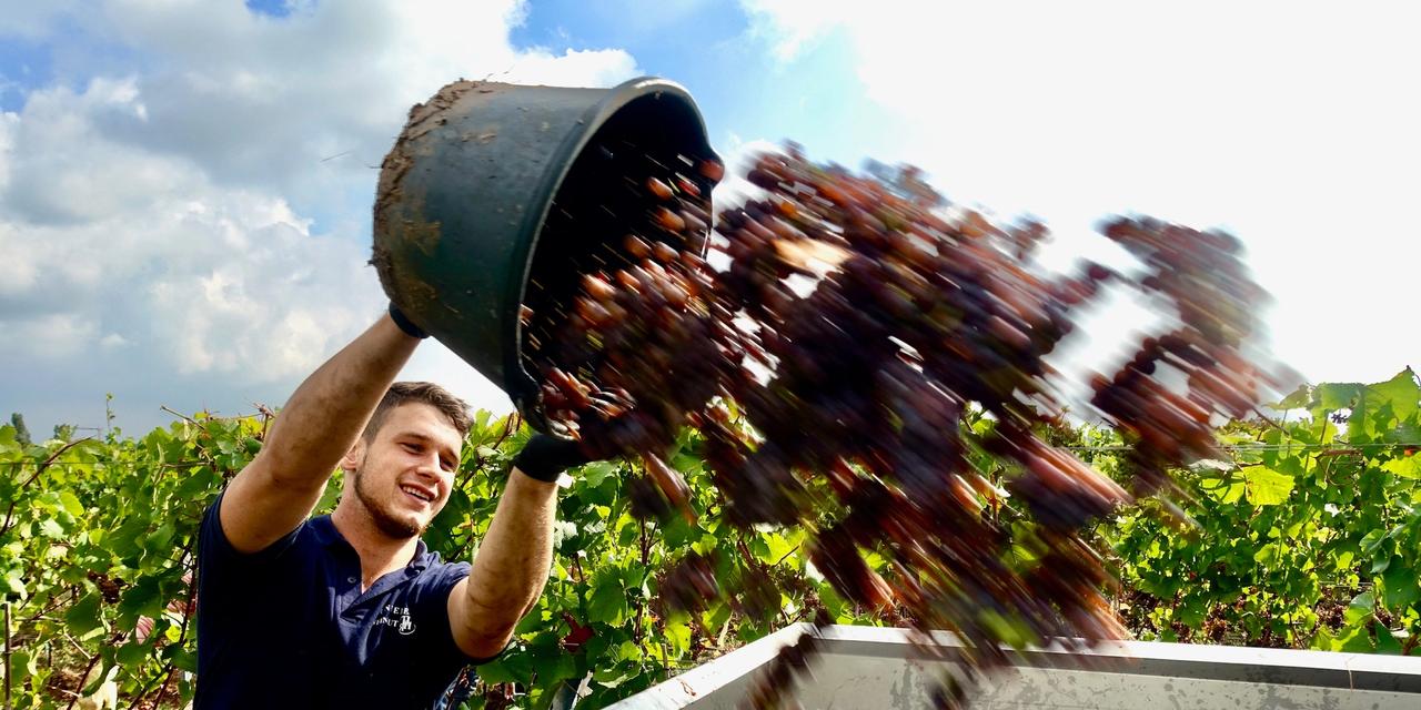 Weingut Hundemer