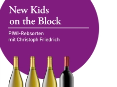 New Kids on the Block