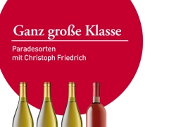 Ganz große Klasse