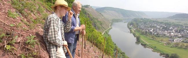 Weingut Benedikt Nilles
