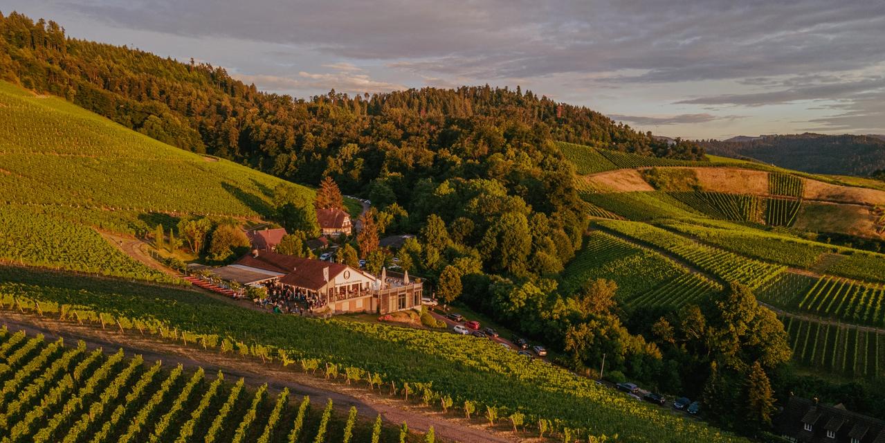 Weingut Schloss Ortenberg