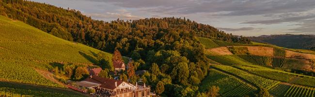 Weingut Schloss Ortenberg