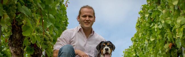 Weinkellerei Meimberg und Weinhaus Boessneck