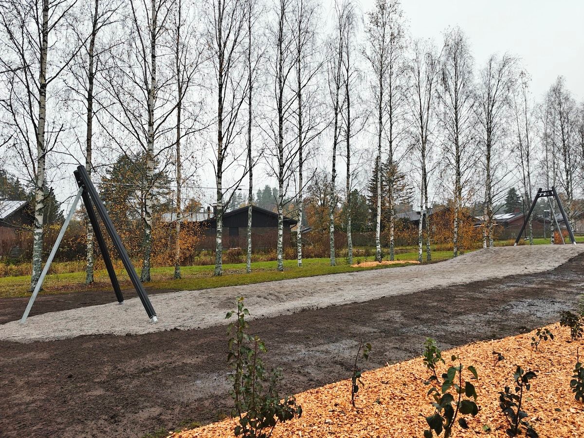 Vaijeriliuku on puiston aidatun alueen ulkopuolella.