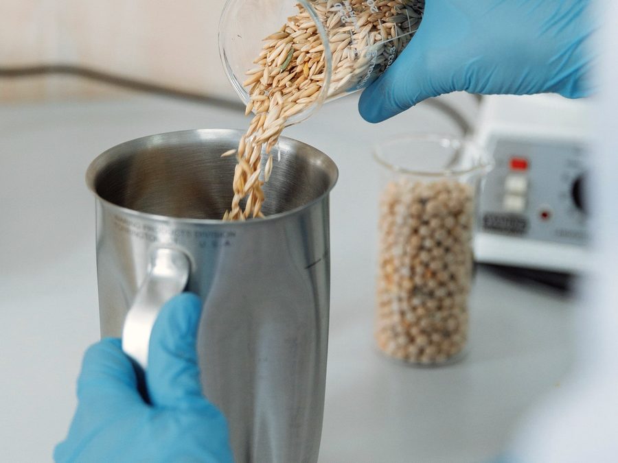 Gloved hands checking a trial batch in a steel container
