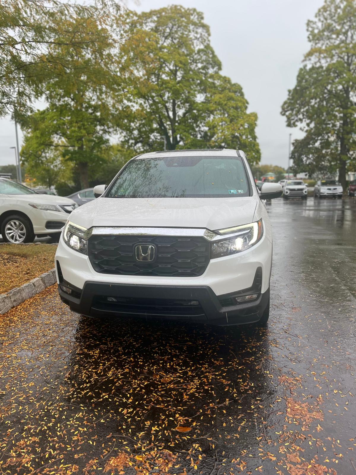 2025 Honda Passport