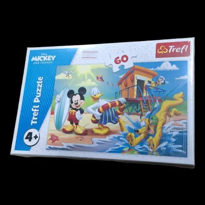 PUZZLE 60 DELOVA A INTERESTING DAY T17359