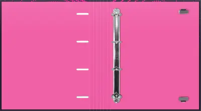 FASCIKLA 4 PRSTENA A4 PINK MAX