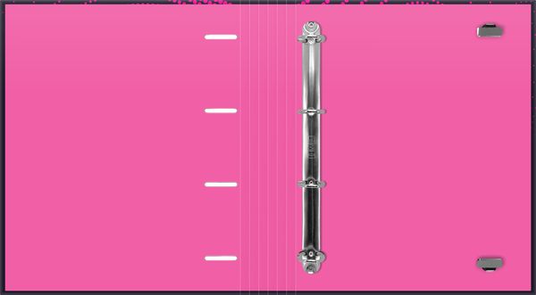 FASCIKLA 4 PRSTENA A4 PINK MAX