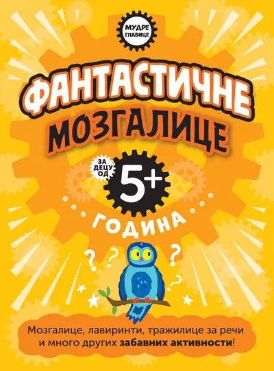 MUDRE GLAVICE: FANTASTIČNE MOZGALICE ZA DECU OD 5+ GODINA - GRUPA AUTORA