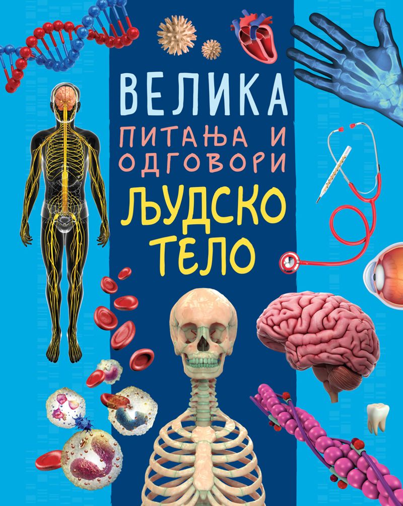 VELIKA PITANJA I ODGOVORI: LJUDSKO TELO - GRUPA AUTORA