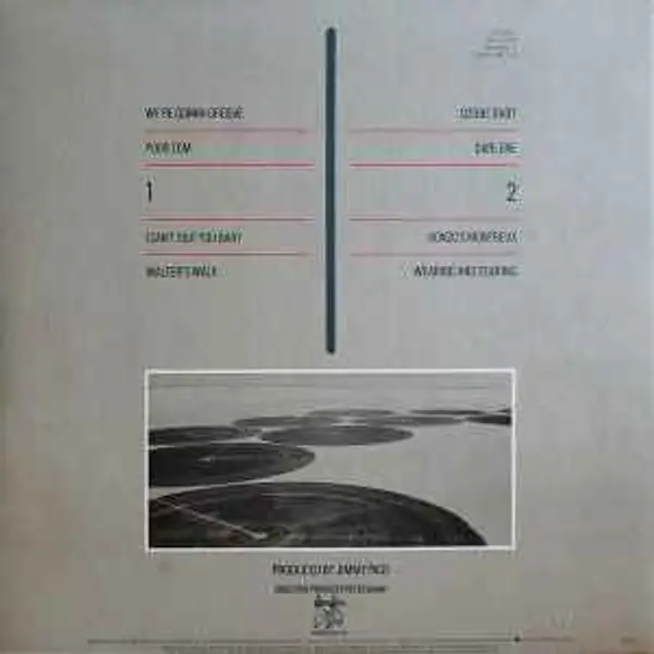 LED ZEPPELIN CODA REMASTERED ORIGINAL VINYL