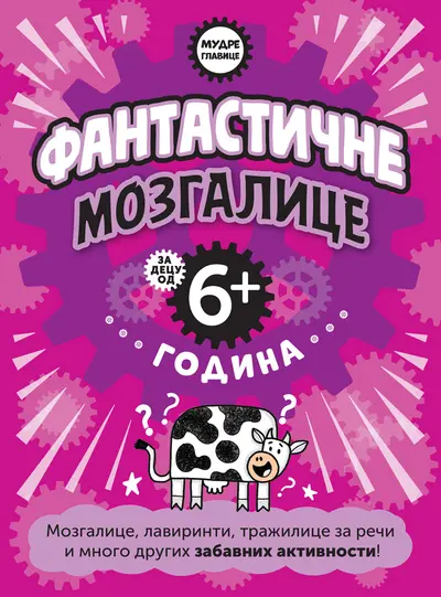MUDRE GLAVICE: FANTASTIČNE MOZGALICE ZA DECU OD 6+ GODINA - GRUPA AUTORA