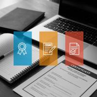 Scholarship Application Guide: Eligibility, Essays, and Proof