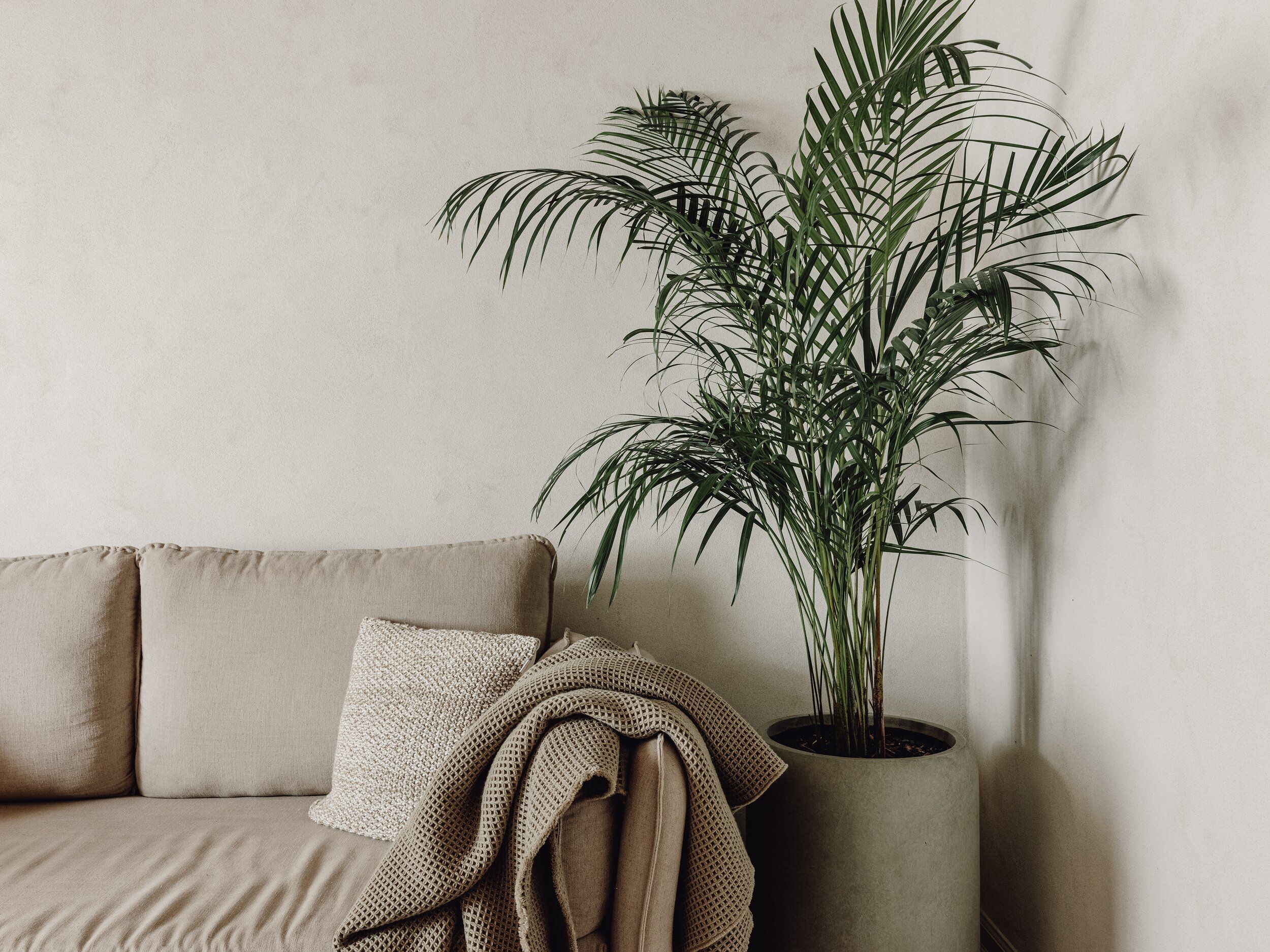 Mācītāja māja, Trešais - Image 12