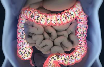 Diagnostik des Darm-Mikrobioms