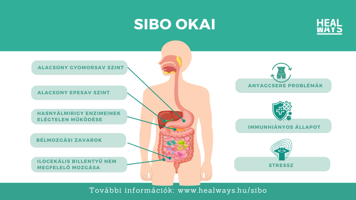 SIBO okai