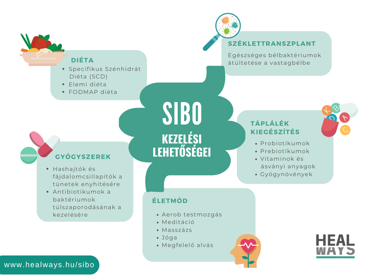 SIBO kezelési lehetőségei