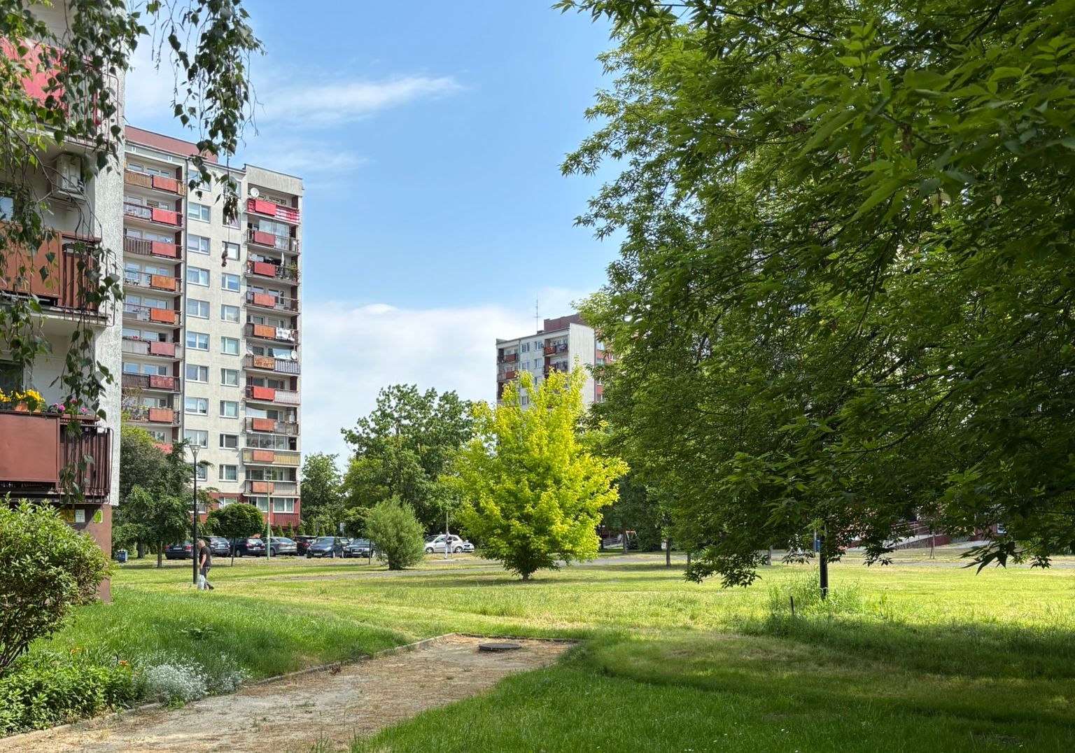 Козанув
