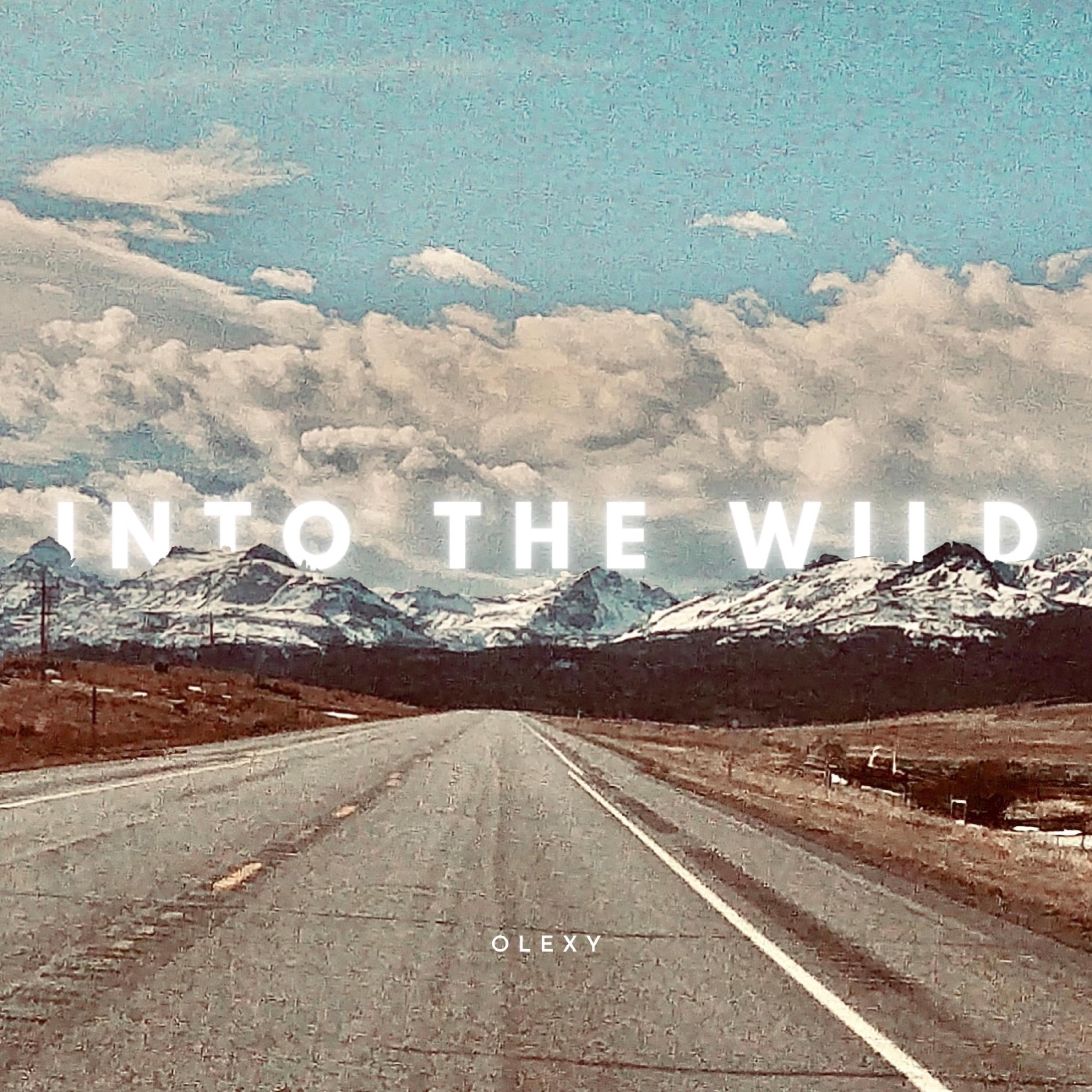 Into the Wild | Download Free MP3 Music for Videos | LesFM