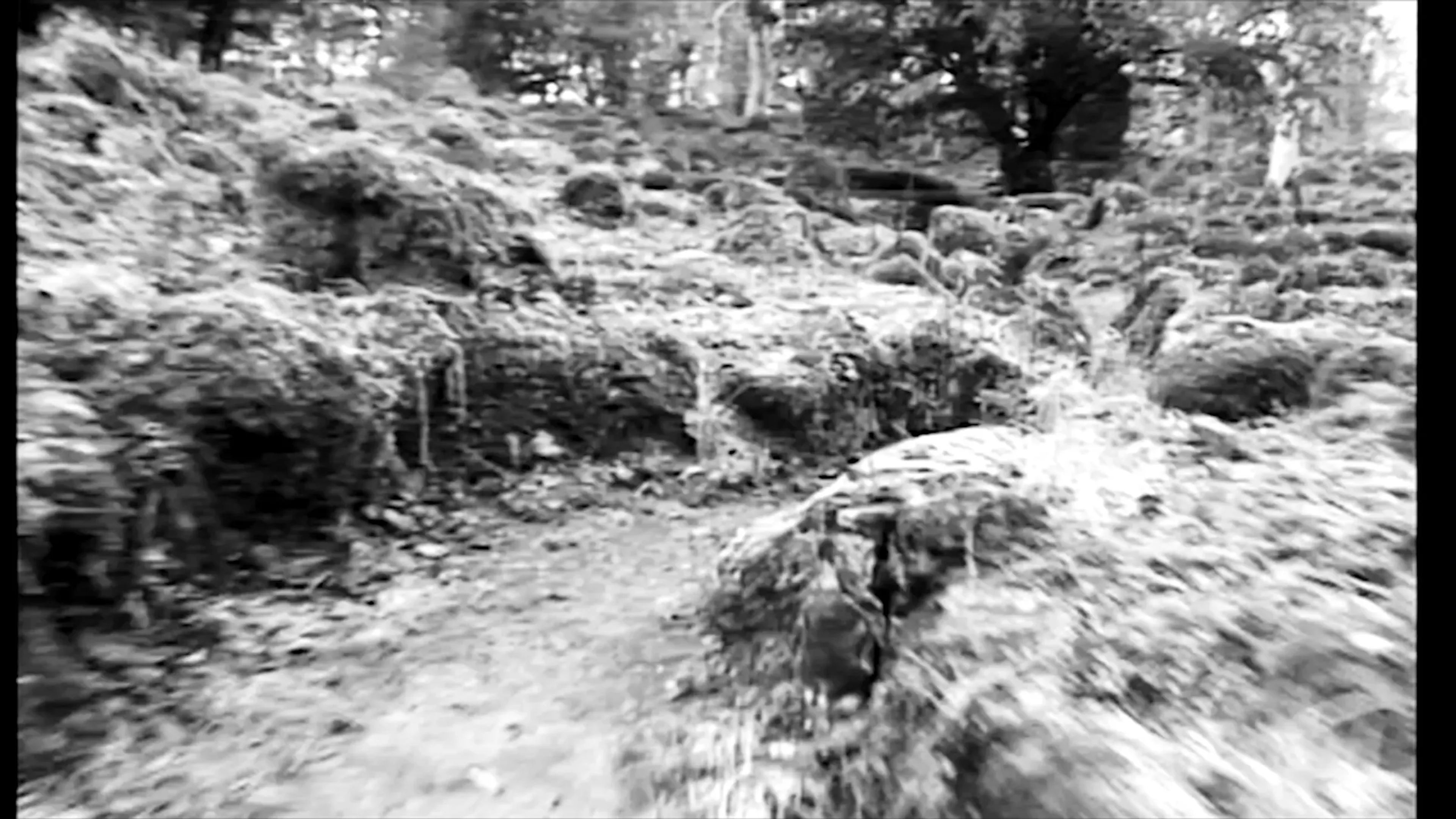 Cumbria