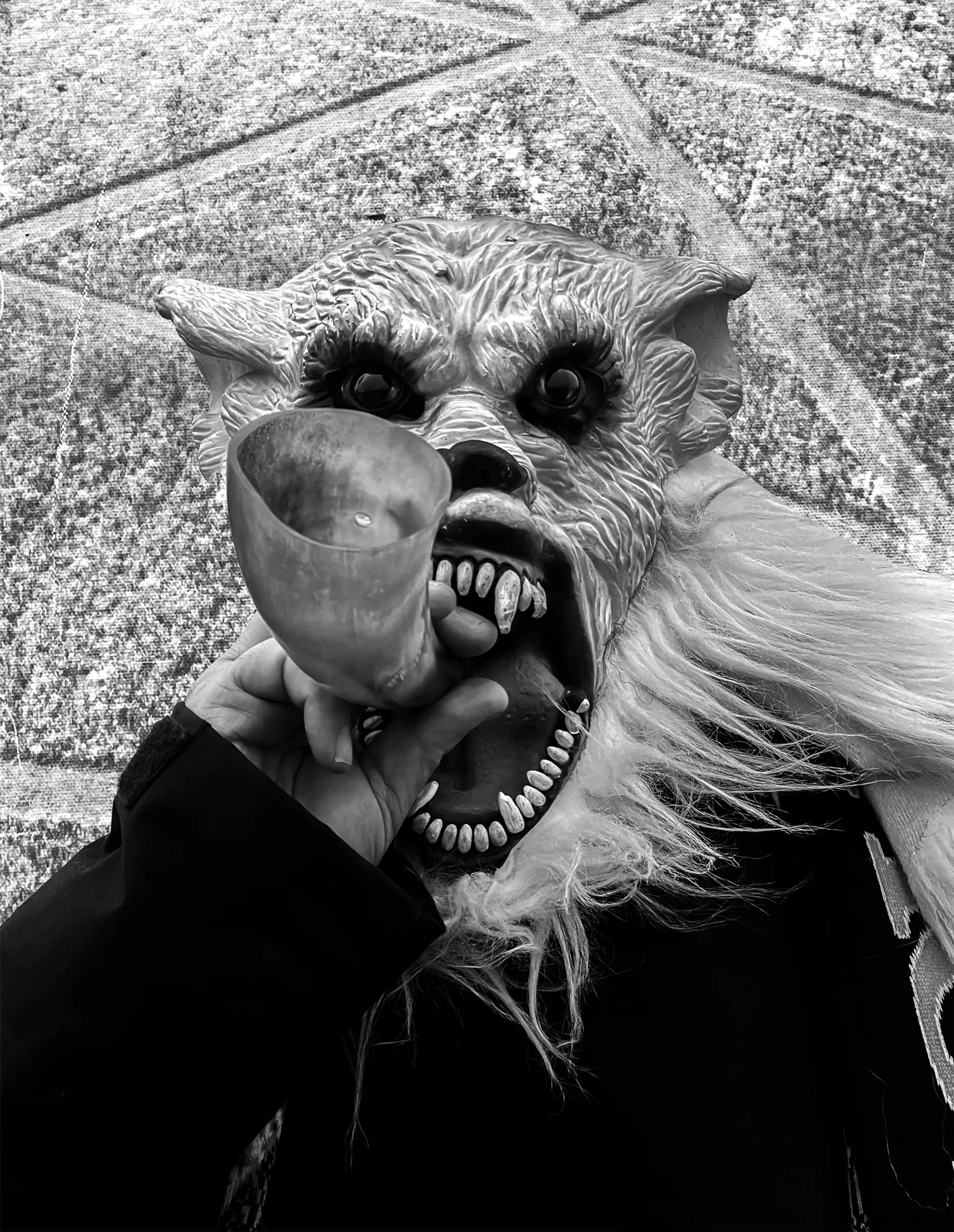 Arena Homme+ 59 Jamie Reid/Pillars of Wonder/The Spring Equinox