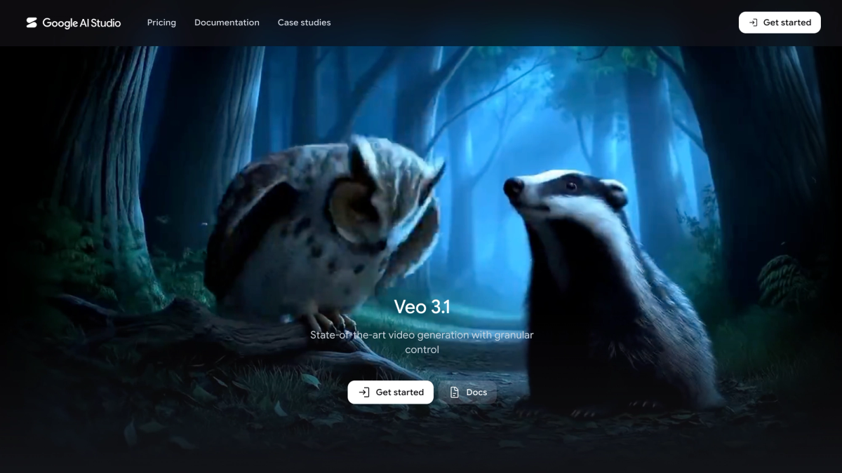 Google Veo home page image