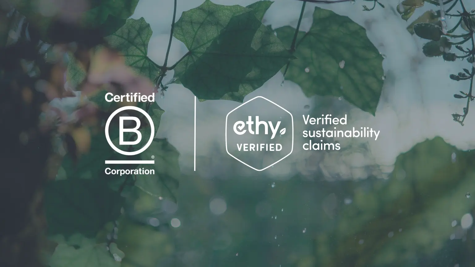 ethy and B Corp share a common vision of a business landscape that operates sustainably and impacts positively on people, communities and the planet. Yet despite these common goals, there are some key differences in approach and result.