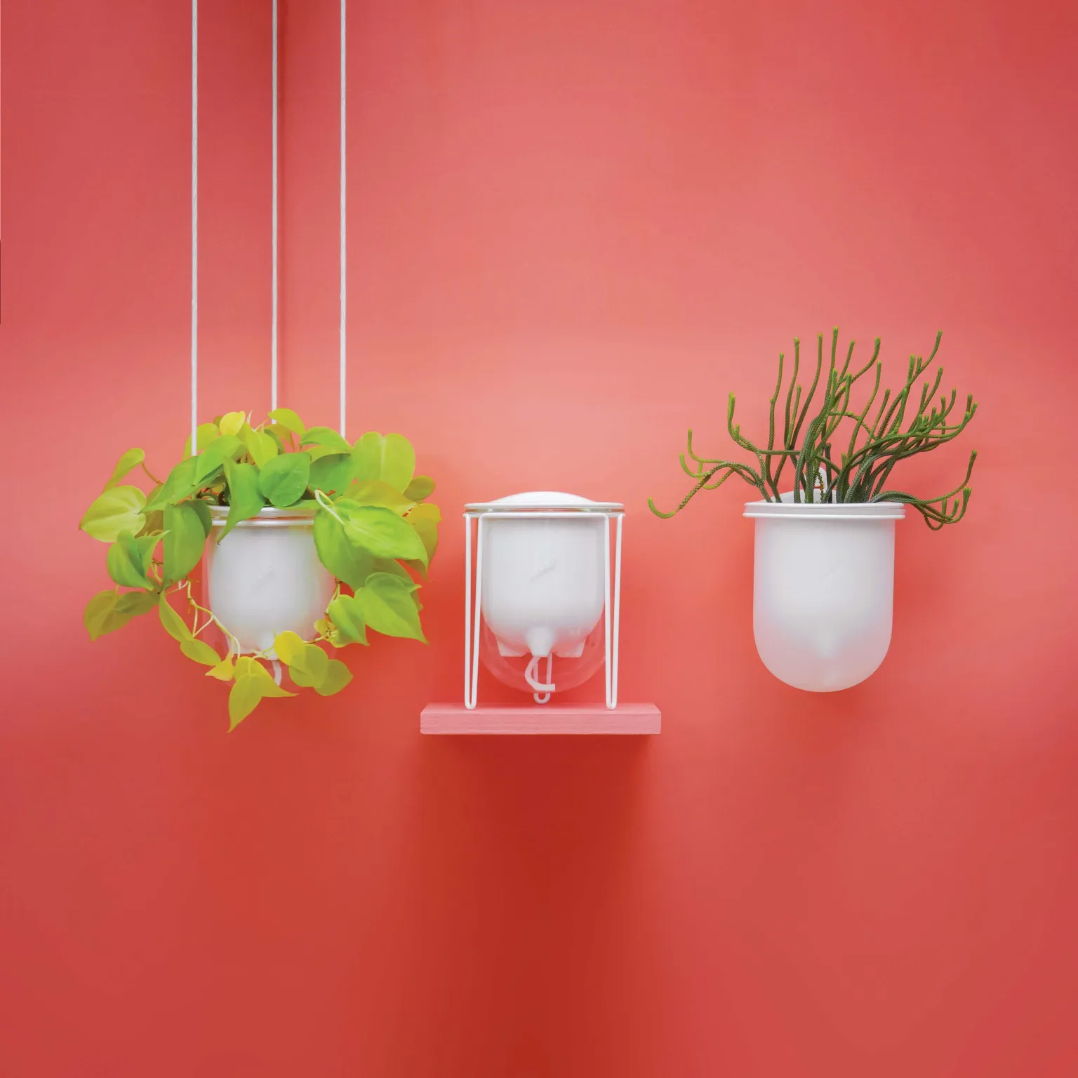 Elegant planters with a purpose