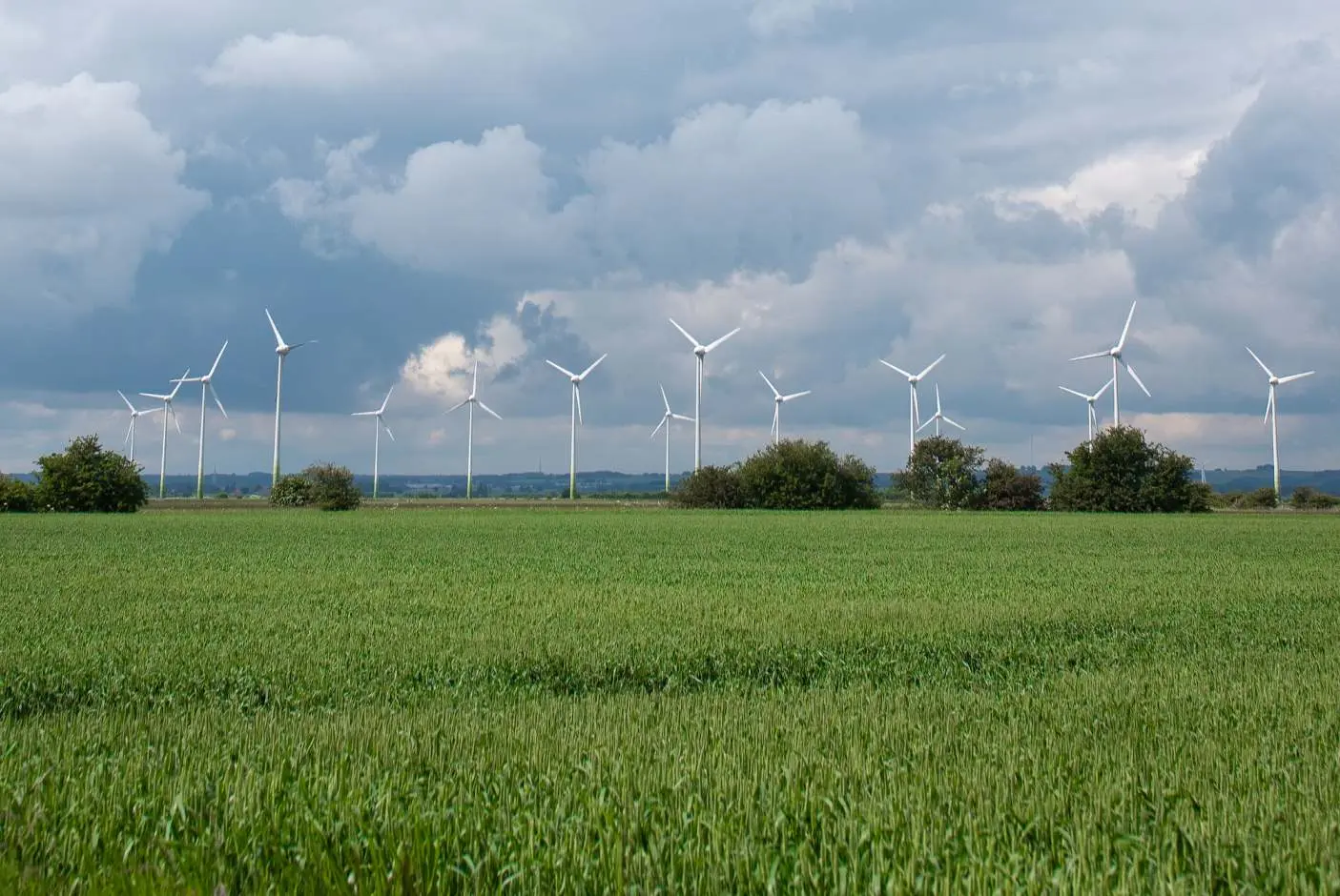 100% renewable electricity & carbon neutral gas