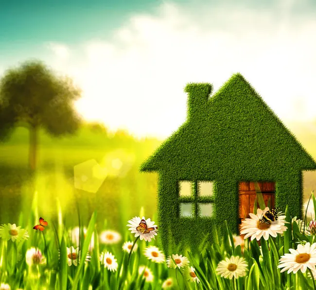 Maintaining a clean home doesn't have to cost the Earth. After all, our planet is also our home so it makes sense that we take steps to keep it clean 🧼🌎 These businesses are helping you keep a clean home in a far more sustainable and natural way.