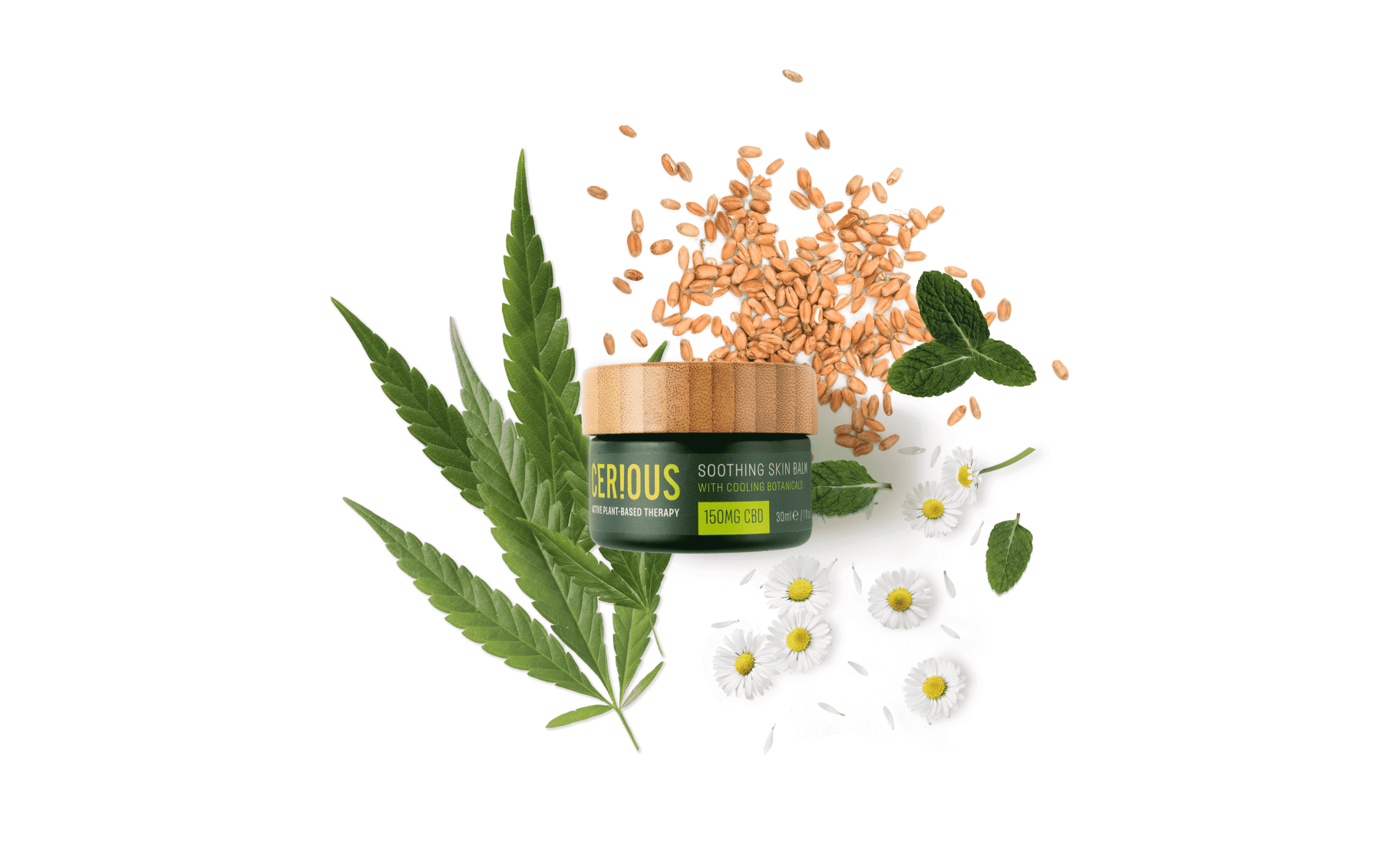 GreenBox