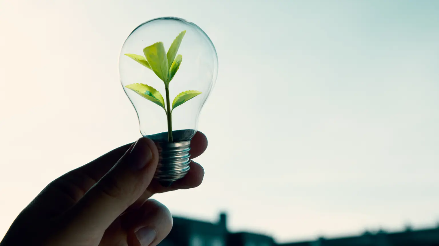 If your business promotes itself as sustainable, it is important to communicate that message in a thoughtful and credible way. Environmentally conscious customers are highly informed and attentive to detail. To earn their trust, companies must demonstrate genuine commitment and show that sustainability is not just part of their messaging but part of their operations as well.