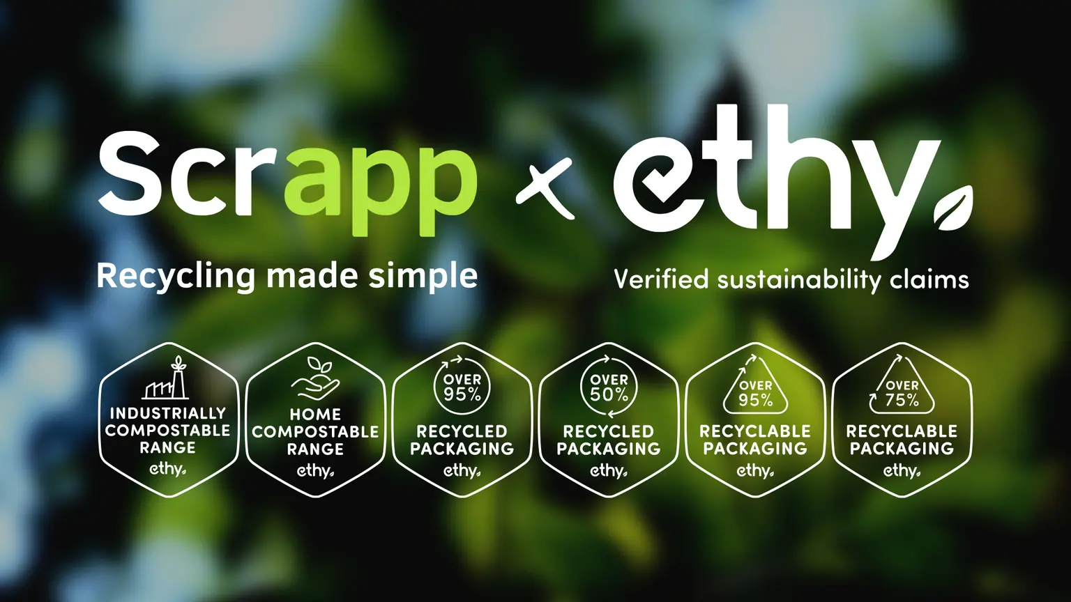 How can brands identify and choose packaging that works best for them and is also as sustainable as possible?