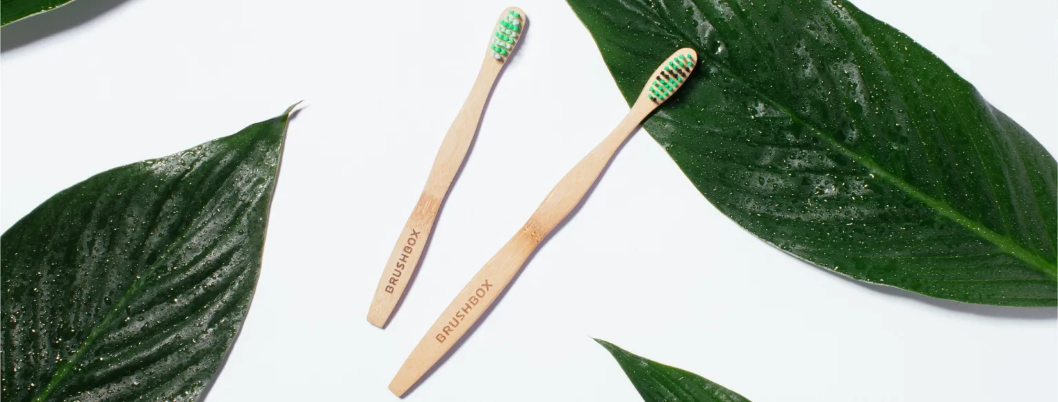 Sustainable bamboo brushes via subscription